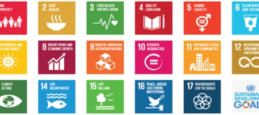 The Sustainable Development Goals