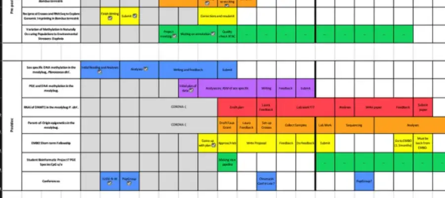 Gant chart