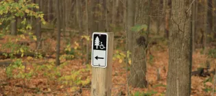 accessible forest 