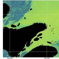 Satelite image of the amazon by Encarni Medina-López   