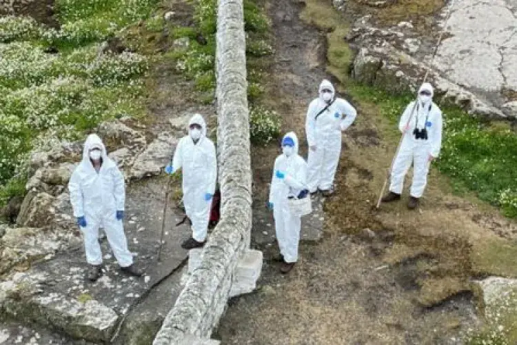 Scientists in personal protective gear
