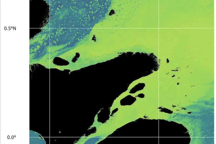 Satelite image of the amazon by Encarni Medina-López   