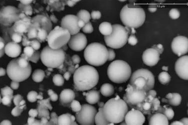  Scanning electron microscopy image of biorecovered manganese particles