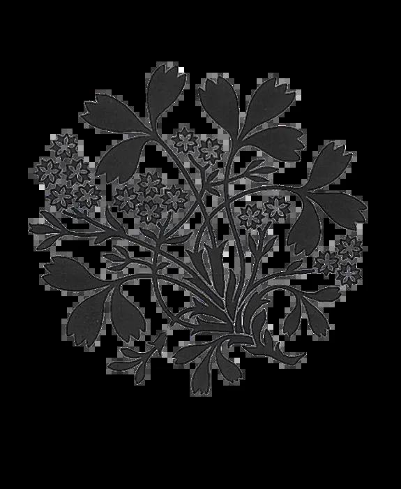Royal Botanic Garden logo