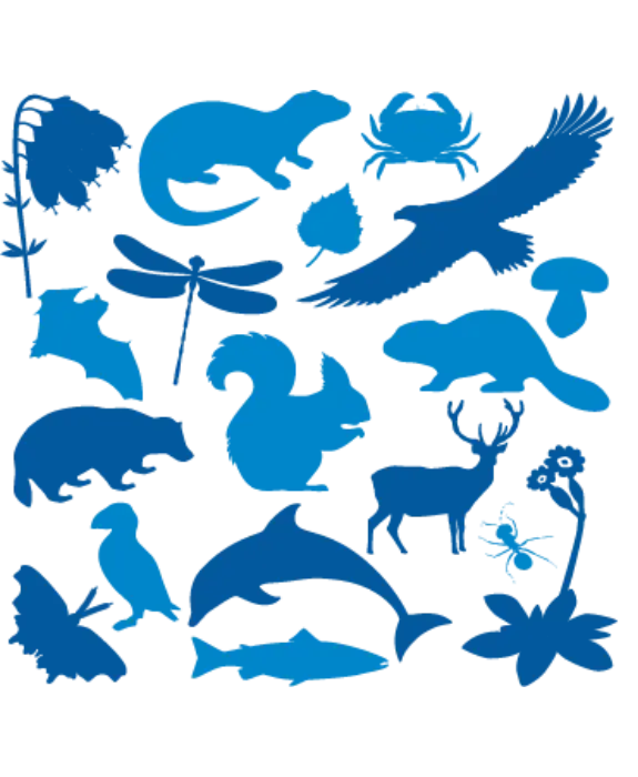 Scottish wildlife trust logo