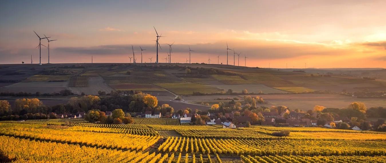 A landscape of rolling hills and farmland with the sun setting behind the hill