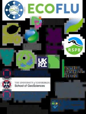 All the logos of the partners in ECOFLU