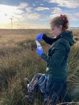 Niamh working in peatland