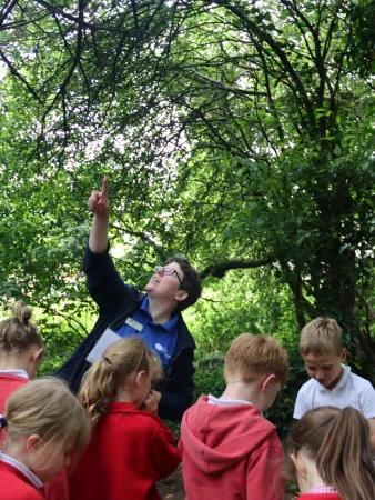 A woman in a forest points upwards towards the trees. Some children in school uniforms are looking for something