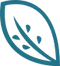line drawing of a leaf